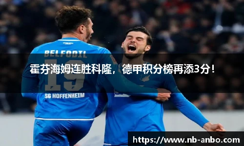 霍芬海姆连胜科隆，德甲积分榜再添3分！