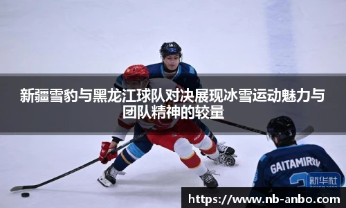 新疆雪豹与黑龙江球队对决展现冰雪运动魅力与团队精神的较量